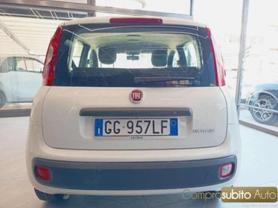 Fiat Panda 1.0 firefly hybrid s&s 70cv 5p.ti (6)