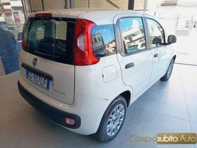 Fiat Panda 1.0 firefly hybrid s&s 70cv 5p.ti (8)