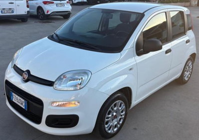Fiat Panda 1.2 EasyPower Easy usata