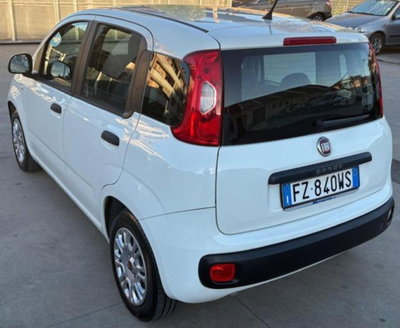 Fiat Panda 1.2 EasyPower Easy (3)