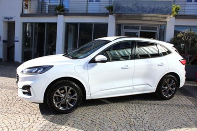 Ford Kuga 2.5 Plug In Hybrid 225 CV CVT 2WD ST-Line (2)