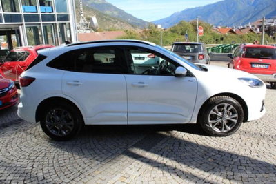 Ford Kuga 2.5 Plug In Hybrid 225 CV CVT 2WD ST-Line (5)