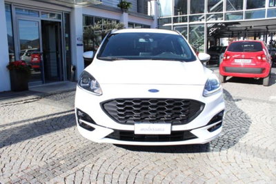 Ford Kuga 2.5 Plug In Hybrid 225 CV CVT 2WD ST-Line (6)