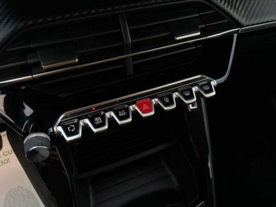 Peugeot 208 BlueHDi 100 Stop&Start 5 porte GT (9)