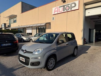 Fiat Panda 1.2 Easy usata
