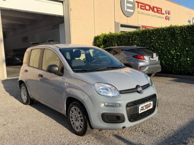 Fiat Panda 1.2 Easy (3)