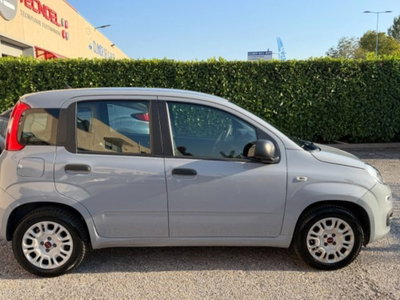 Fiat Panda 1.2 Easy (4)