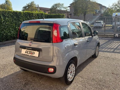 Fiat Panda 1.2 Easy (5)