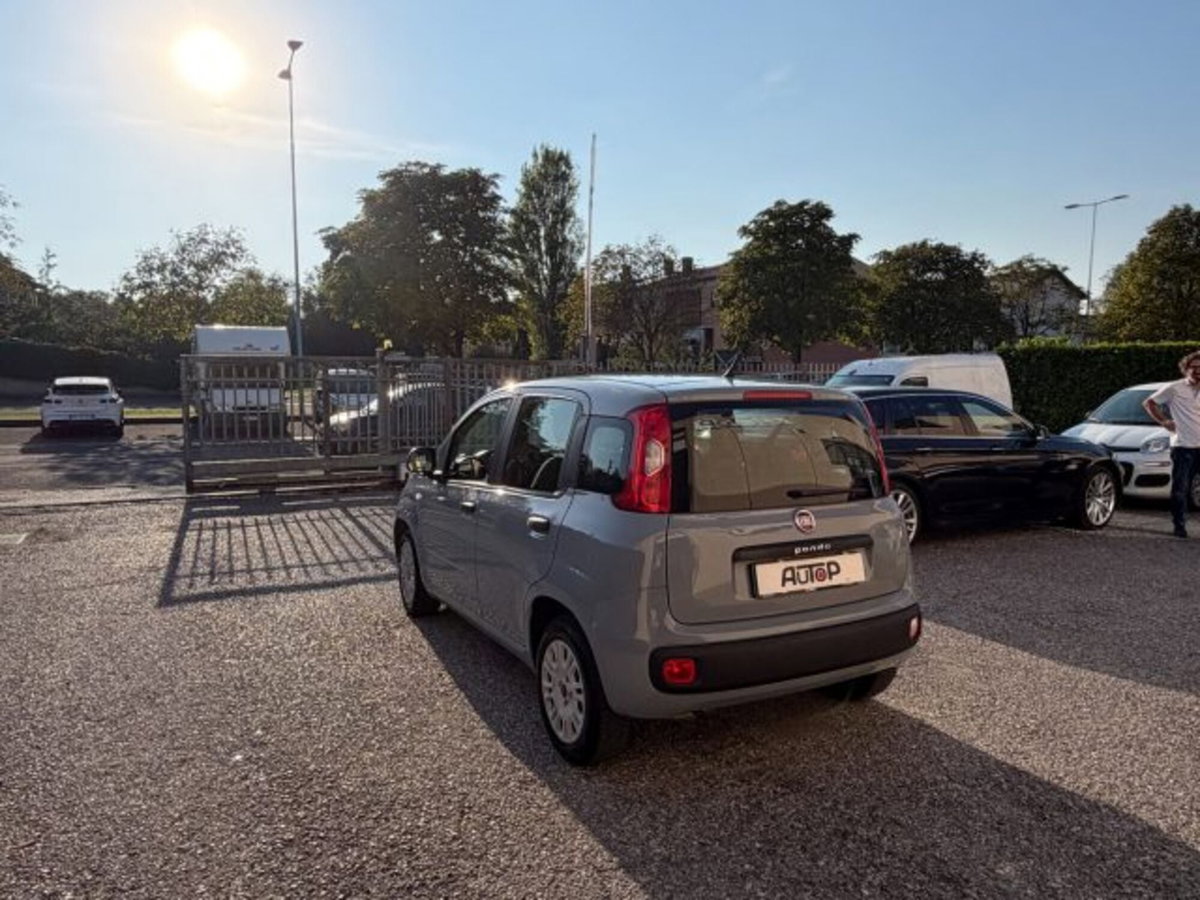 Fiat Panda 1.2 Easy (6)