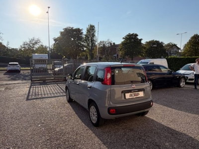 Fiat Panda 1.2 Easy (6)