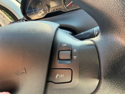 Peugeot 208 75 5 porte Van (17)