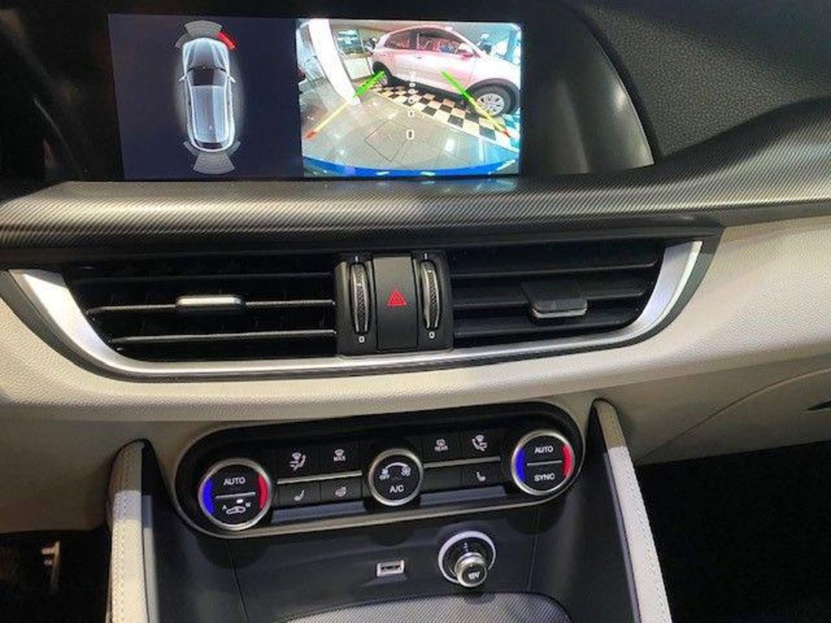 Alfa Romeo Stelvio Stelvio 2.0 Turbo 280 CV AT8 Q4 Veloce (8)