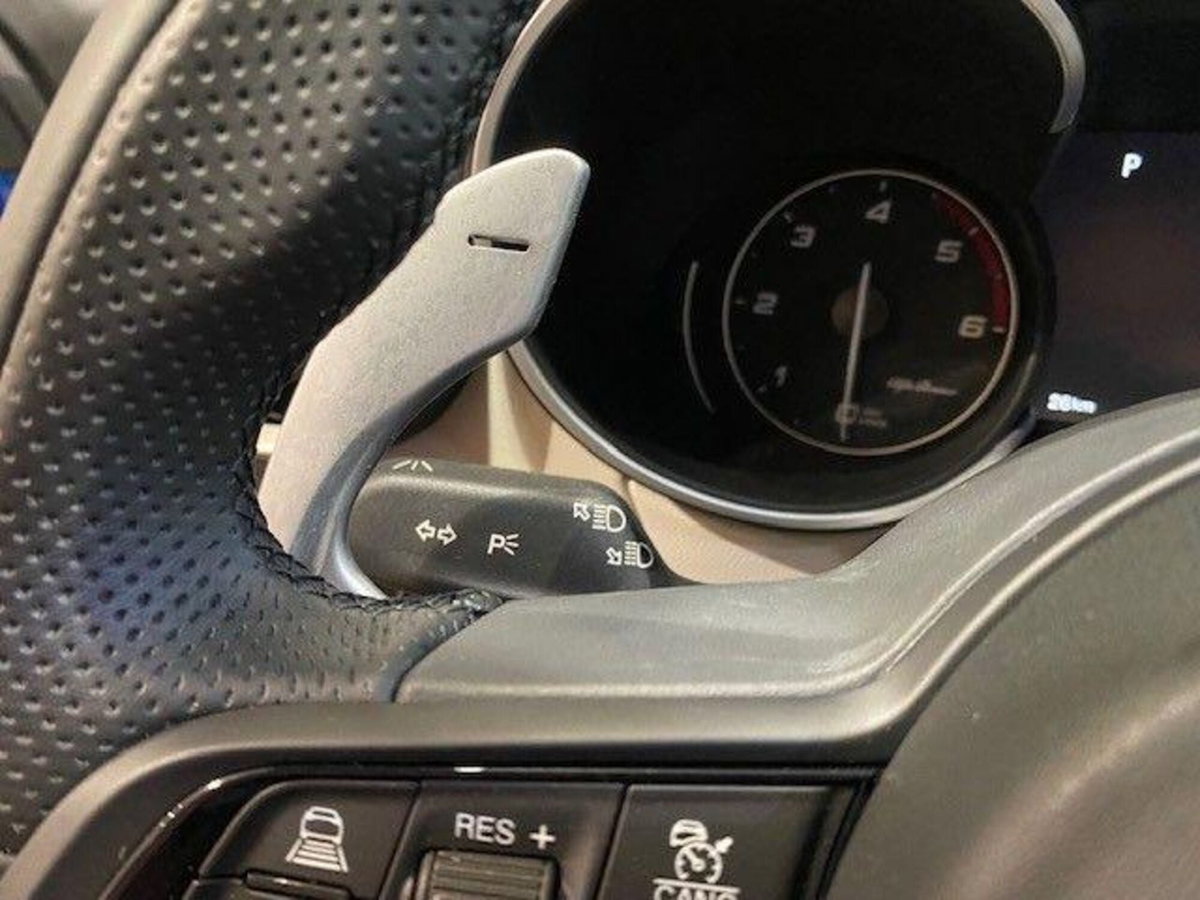Alfa Romeo Stelvio Stelvio 2.0 Turbo 280 CV AT8 Q4 Veloce (9)
