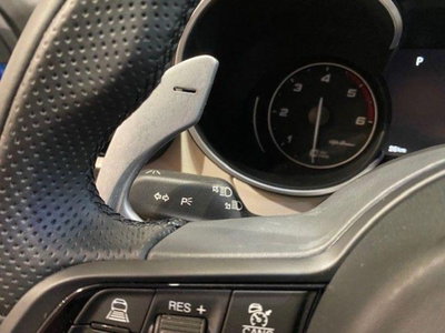 Alfa Romeo Stelvio Stelvio 2.0 Turbo 280 CV AT8 Q4 Veloce (9)