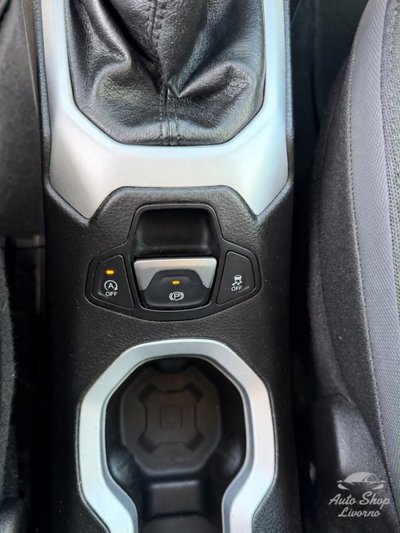 Jeep Renegade 1.6 Mjt 120 CV Limited (10)