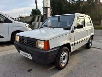 Fiat Panda 900 i.e. cat Young (2)