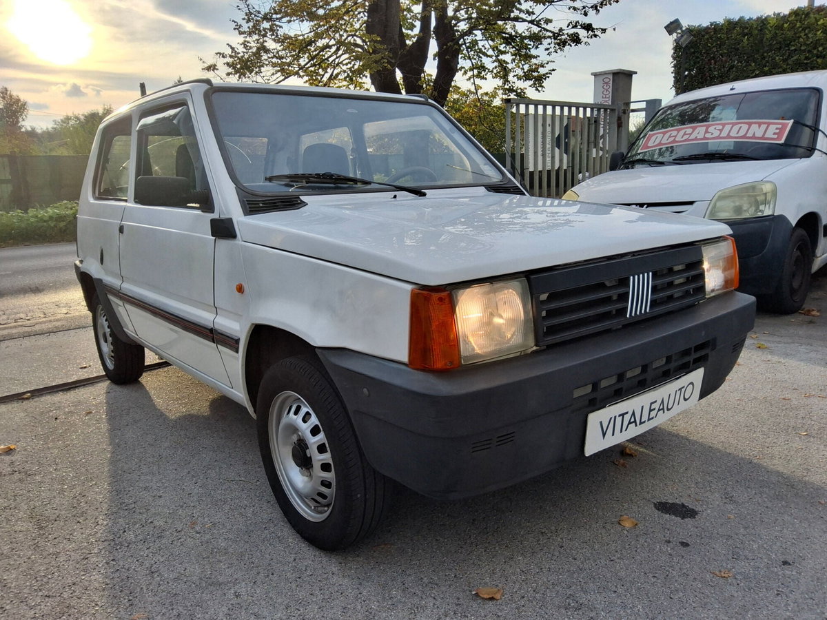 Fiat Panda 900 i.e. cat Young (3)