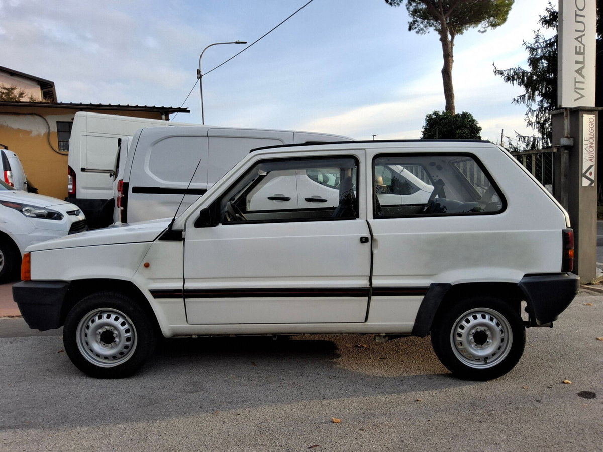 Fiat Panda 900 i.e. cat Young (4)