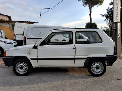 Fiat Panda 900 i.e. cat Young (4)