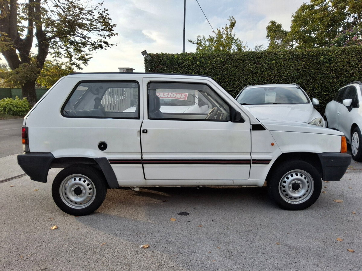 Fiat Panda 900 i.e. cat Young (5)