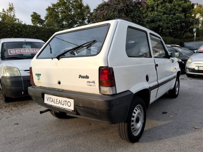 Fiat Panda 900 i.e. cat Young (6)