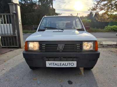 Fiat Panda 900 i.e. cat Young (9)