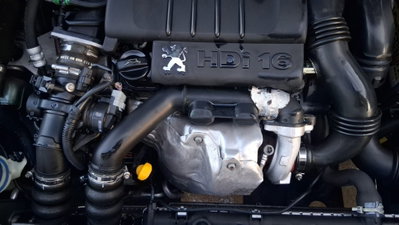 Peugeot Ranch HDi 5p. Totem (10)
