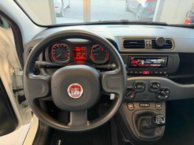 Fiat Panda 1.0 firefly hybrid s&s 70cv 5p.ti (10)