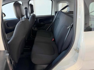 Fiat Panda 1.0 firefly hybrid s&s 70cv 5p.ti (12)
