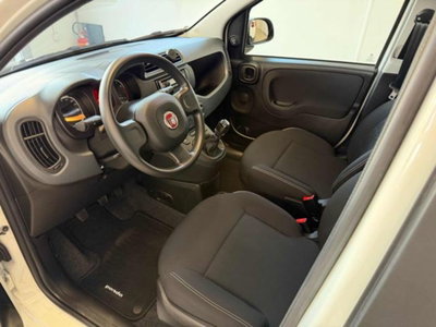 Fiat Panda 1.0 firefly hybrid s&s 70cv 5p.ti (14)