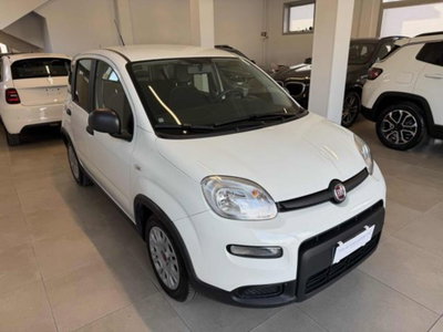 Fiat Panda 1.0 firefly hybrid s&s 70cv 5p.ti (2)