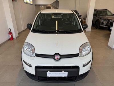 Fiat Panda 1.0 firefly hybrid s&s 70cv 5p.ti (3)