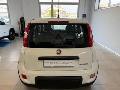 Fiat Panda 1.0 firefly hybrid s&s 70cv 5p.ti (5)