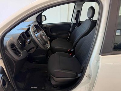 Fiat Panda 1.0 firefly hybrid s&s 70cv 5p.ti (6)
