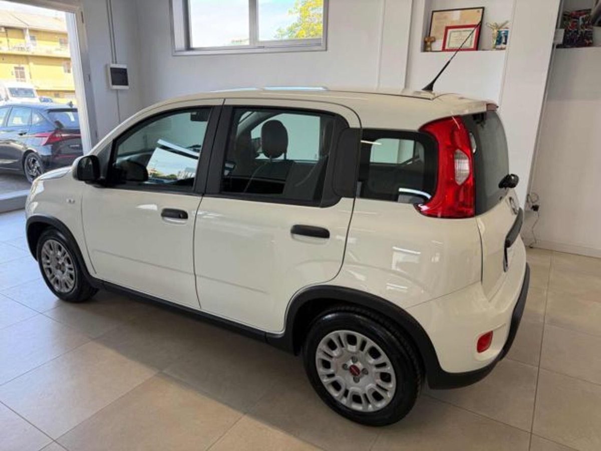 Fiat Panda 1.0 firefly hybrid s&s 70cv 5p.ti (8)