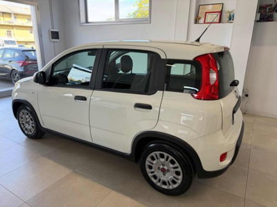 Fiat Panda 1.0 firefly hybrid s&s 70cv 5p.ti (8)