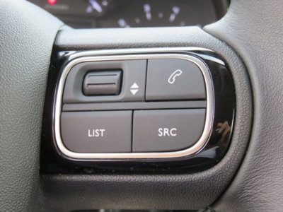 Citroen C3 Aircross 1.5 bluehdi You s&s 110cv (15)