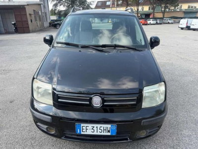 Fiat Panda 1.2 Active GPL (2)