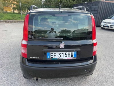 Fiat Panda 1.2 Active GPL (6)