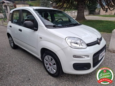 Fiat Panda 1.2 Pop usata