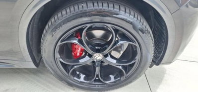 Alfa Romeo Stelvio Stelvio 2.0 Turbo 280 CV AT8 Q4 Veloce (6)