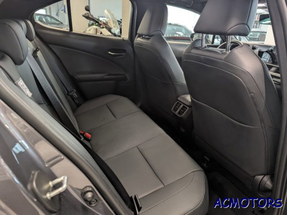Lexus UX Hybrid 4WD Design (11)