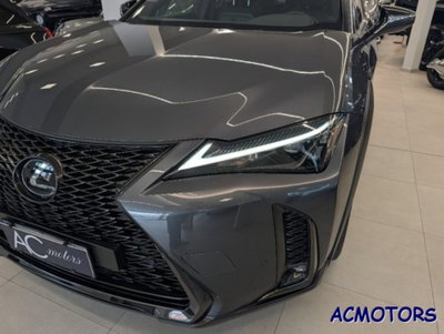 Lexus UX Hybrid 4WD Design (15)