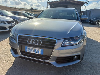 Audi A4 2.0 TDI 143CV F.AP. quattro Advanced (10)