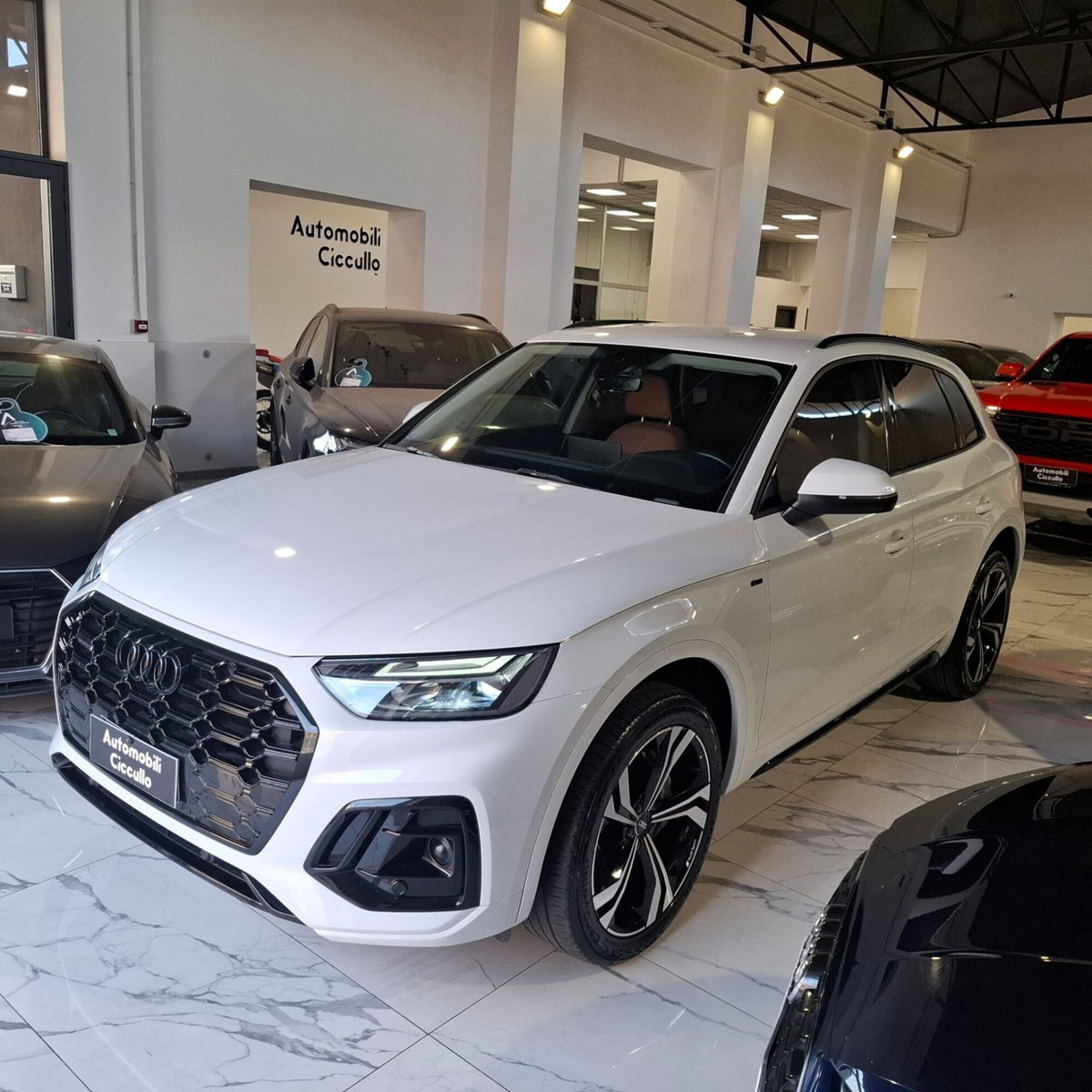 Audi Q5 40 TDI 204 CV quattro S tronic S line plus (3)