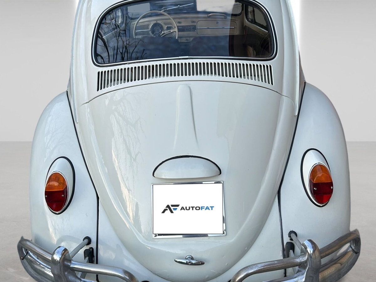 Volkswagen Maggiolino 1200 L (Messico) (6)