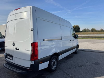 Mercedes-Benz Sprinter F37/35 311 CDI RWD TA Furgone (4)