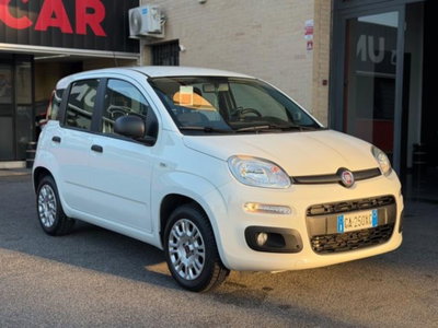Fiat Panda 1.2 EasyPower Easy usata