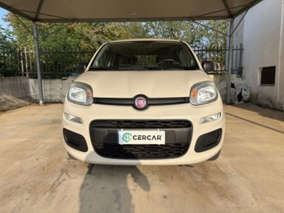 Fiat Panda 1.2 Easy (2)