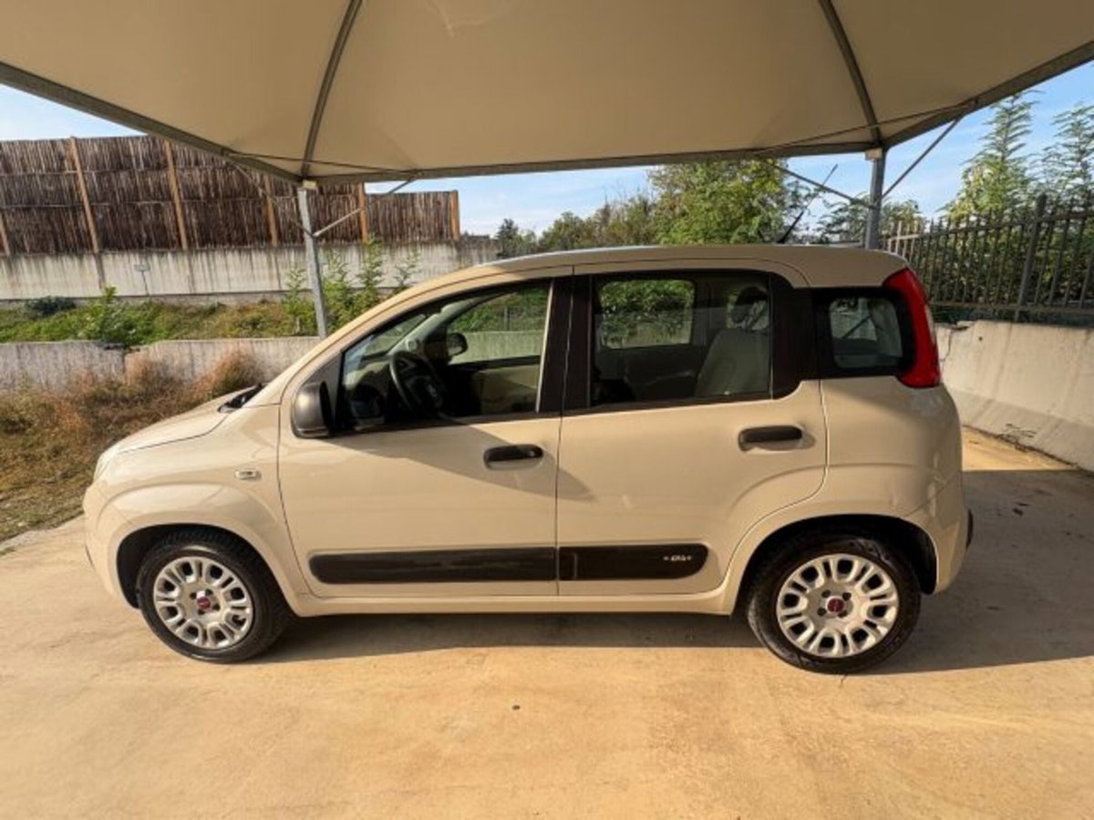 Fiat Panda 1.2 Easy (8)